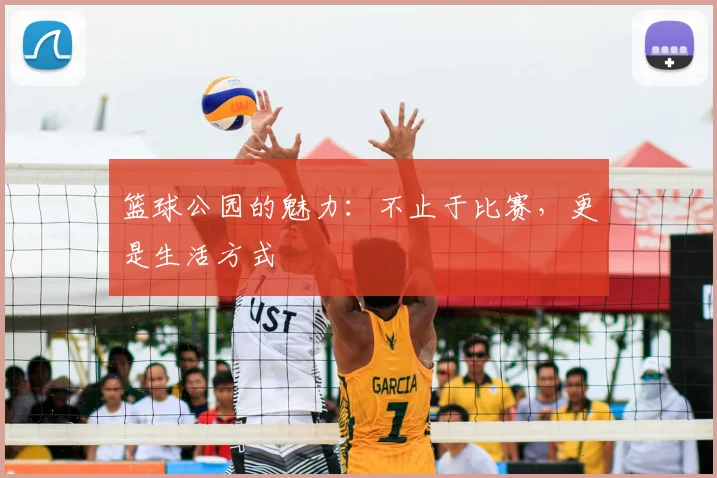 篮球公园的魅力：不止于比赛，更是生活方式