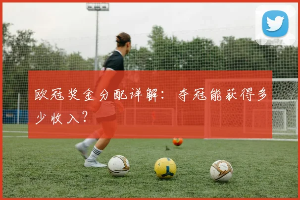 欧冠奖金分配详解：夺冠能获得多少收入？